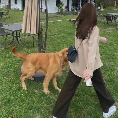 篷车队